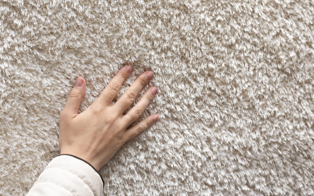 How To Get Your Carpets Looking As Good As New After A Flood
