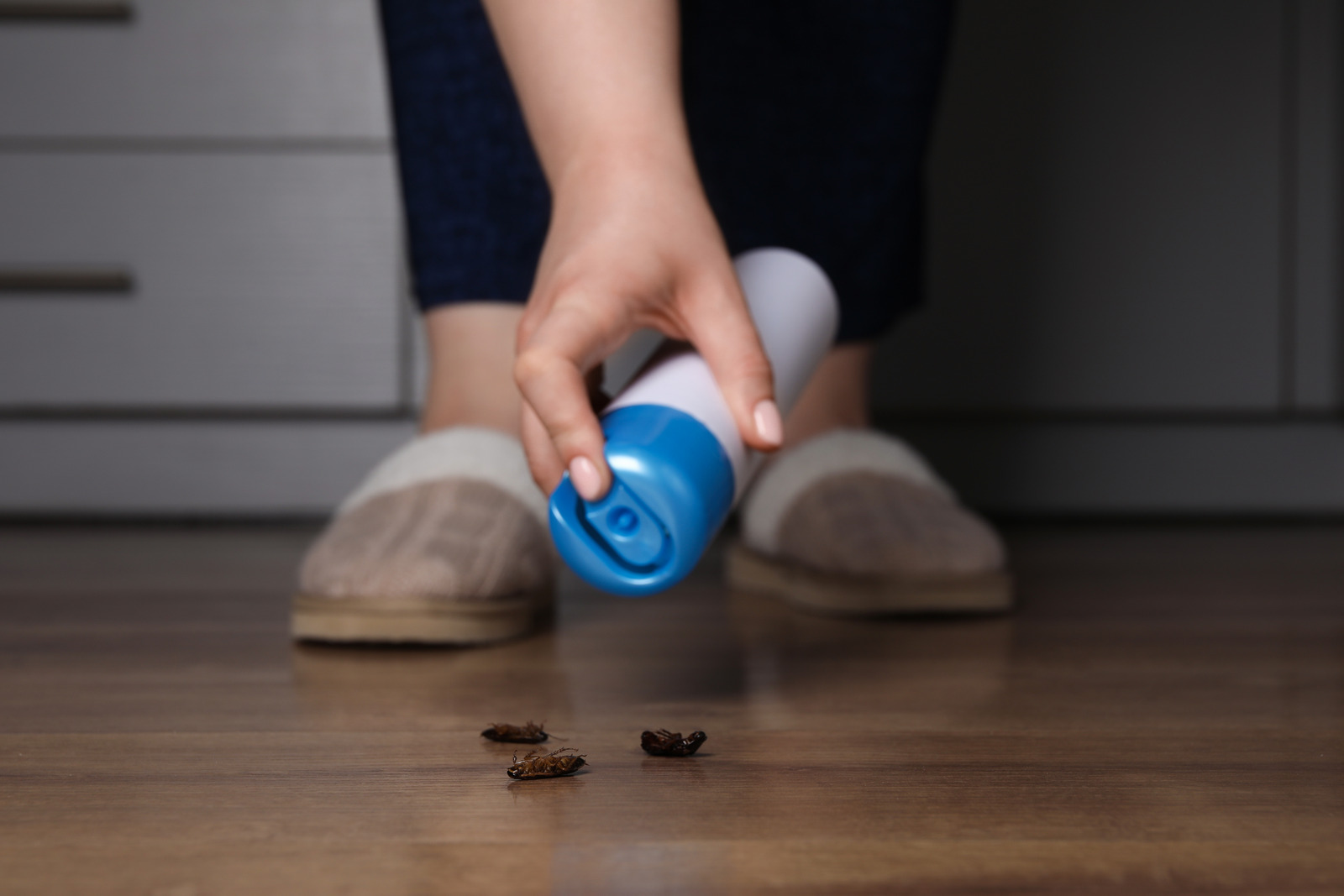 Cockroach Control